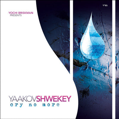 yaakov shwekey cry no more album